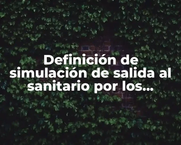 Definición de simulación de salida al sanitario por los alumnos