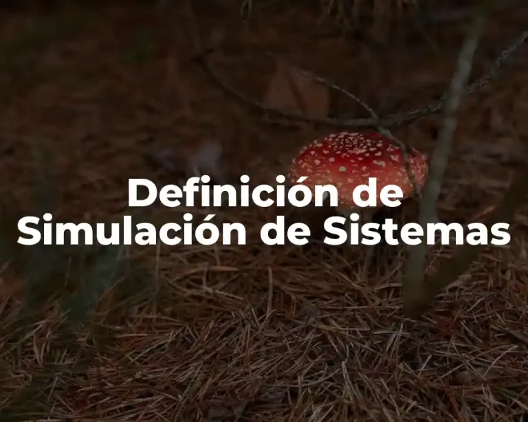 Definición de Simulación de Sistemas