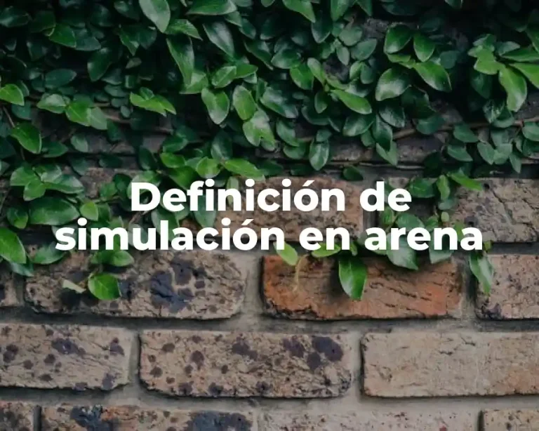 Definición de simulación en arena