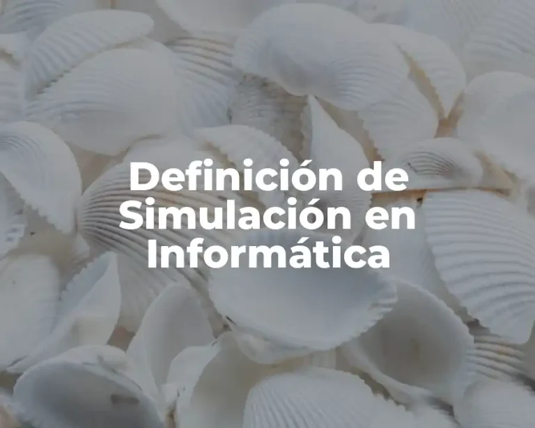 Definición de Simulación en Informática