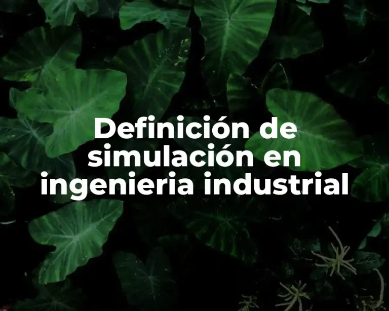 Definición de simulación en ingenieria industrial
