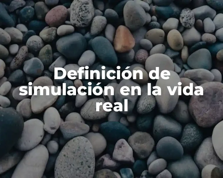Definición de simulación en la vida real