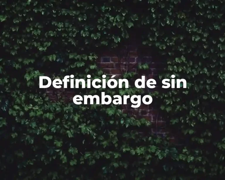 Definición de sin embargo