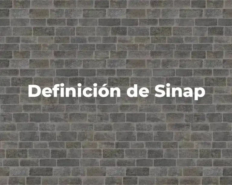 Definición de Sinap