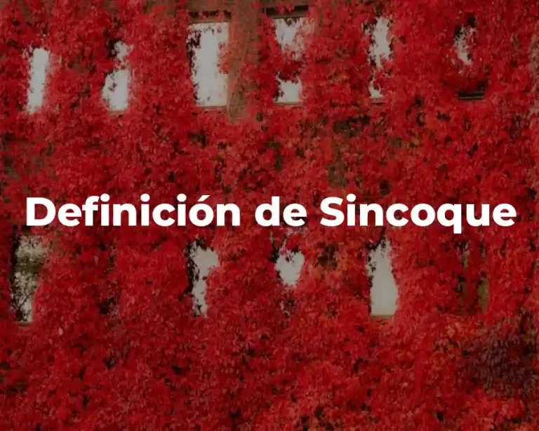 Definición de Sincoque