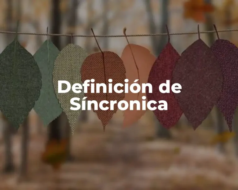 Definición de Síncronica
