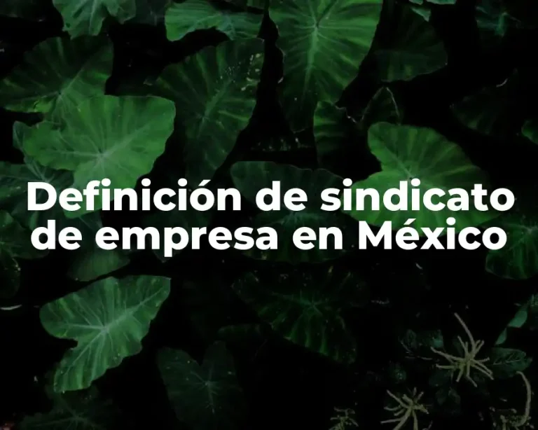 Definición de sindicato de empresa en México