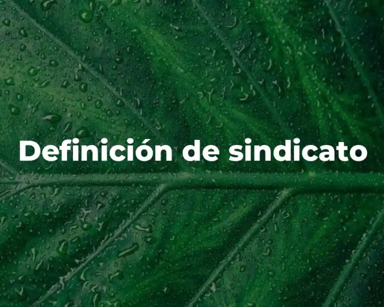 Definición de sindicato