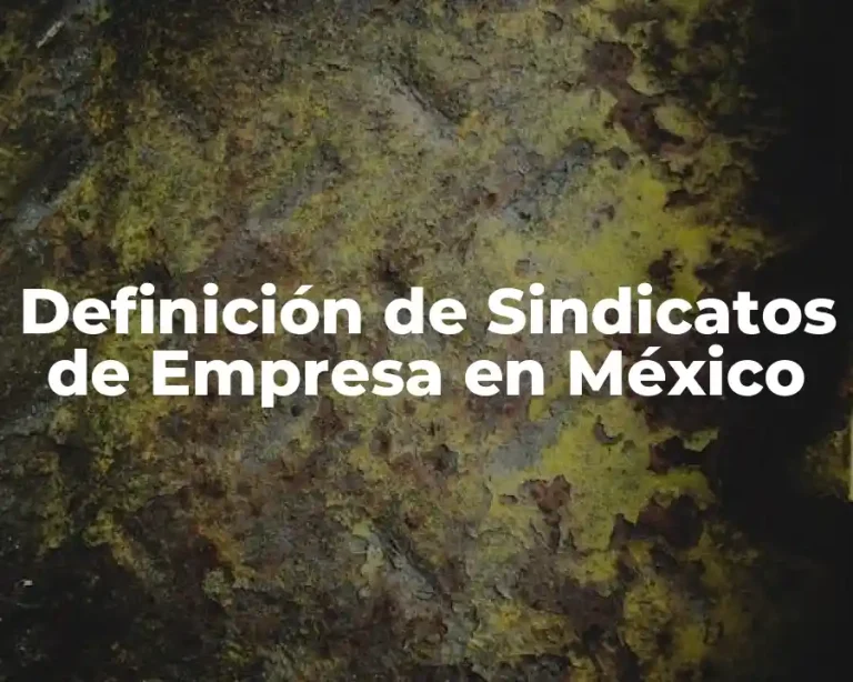 Definición de Sindicatos de Empresa en México