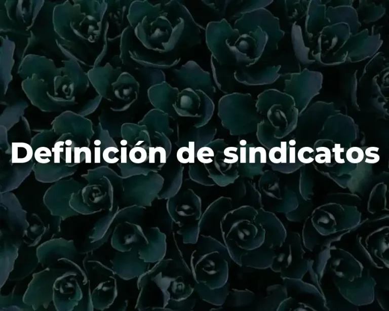 Definición de sindicatos
