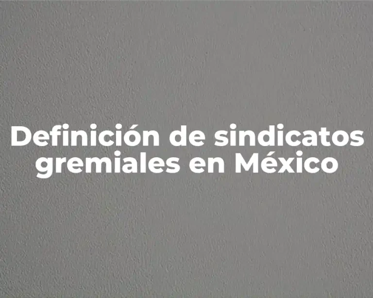 Definición de sindicatos gremiales en México