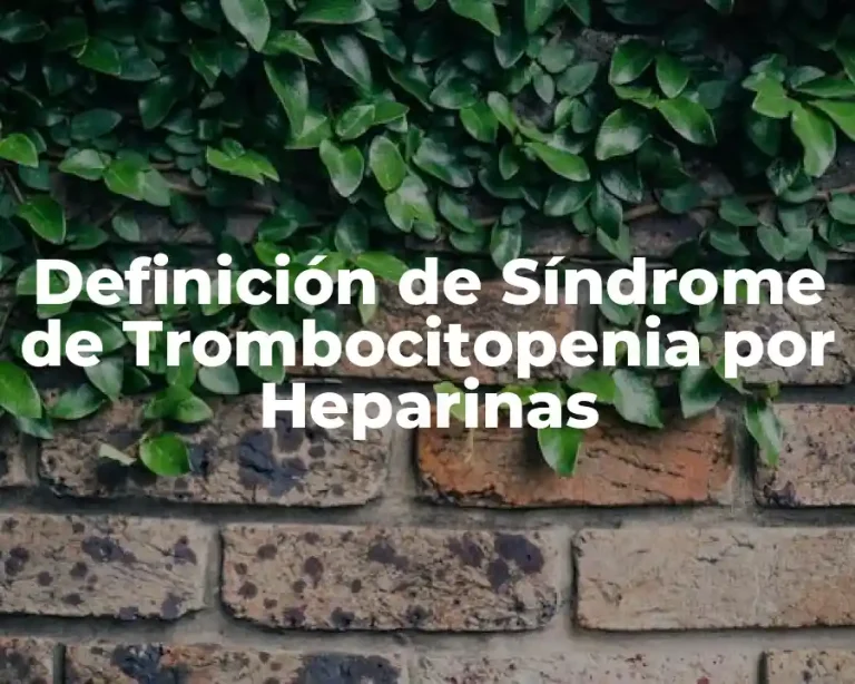 Definición de Síndrome de Trombocitopenia por Heparinas