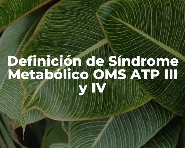 Definición de Síndrome Metabólico OMS ATP III y IV