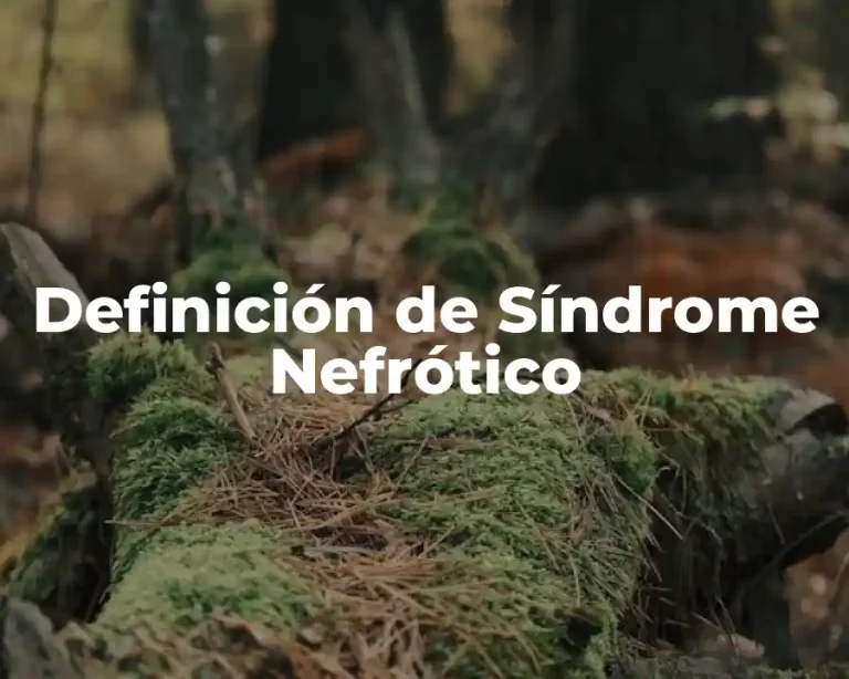 Definición de Síndrome Nefrótico