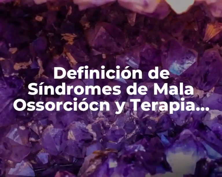 Definición de Síndromes de Mala Ossorciócn y Terapia Nutricional