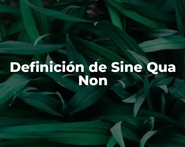 Definición de Sine Qua Non