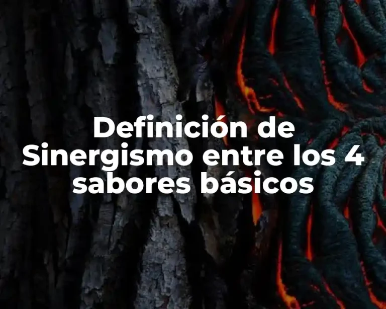Definición de Sinergismo entre los 4 sabores básicos