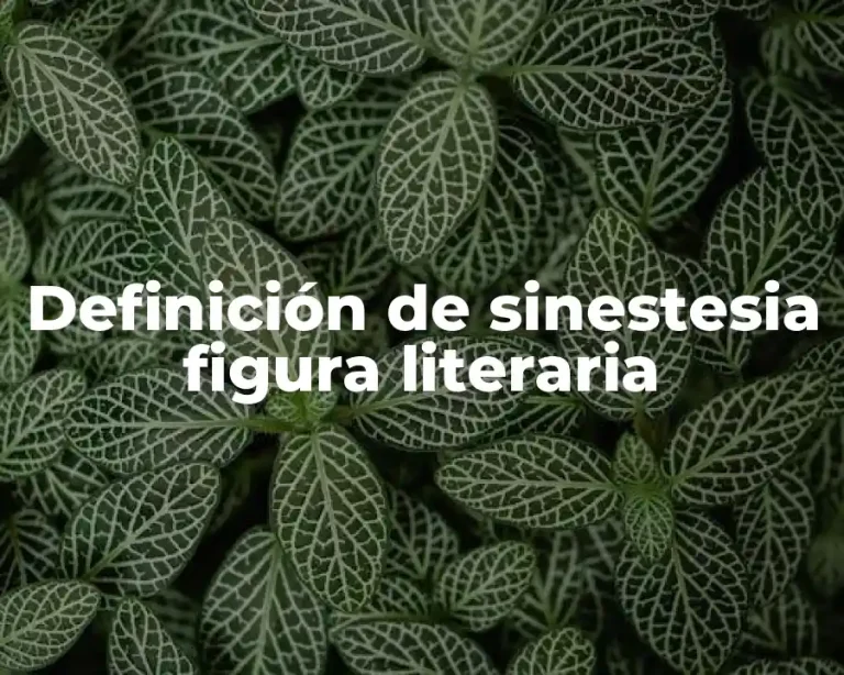 Definición de sinestesia figura literaria
