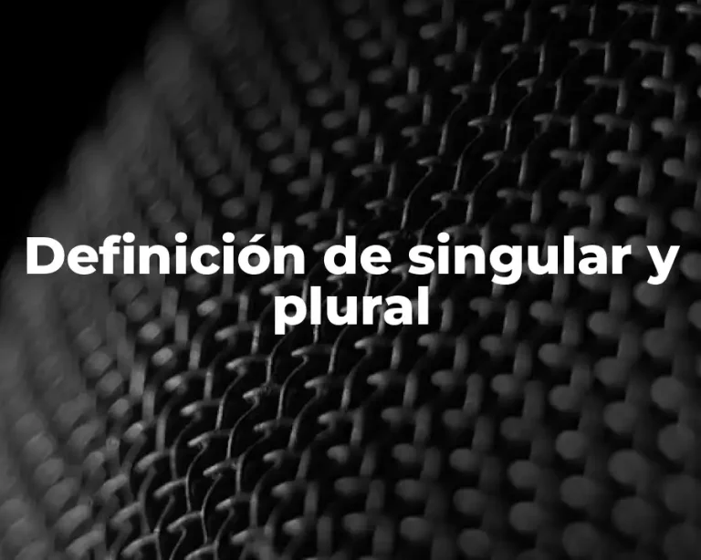 Definición de singular y plural