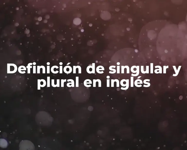 Definición de singular y plural en inglés