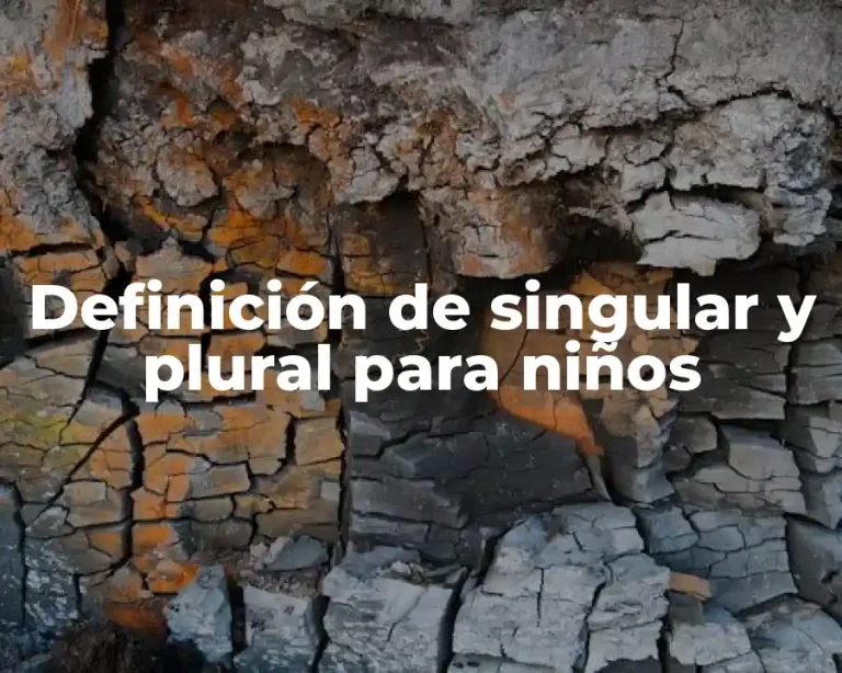 Definición de singular y plural para niños