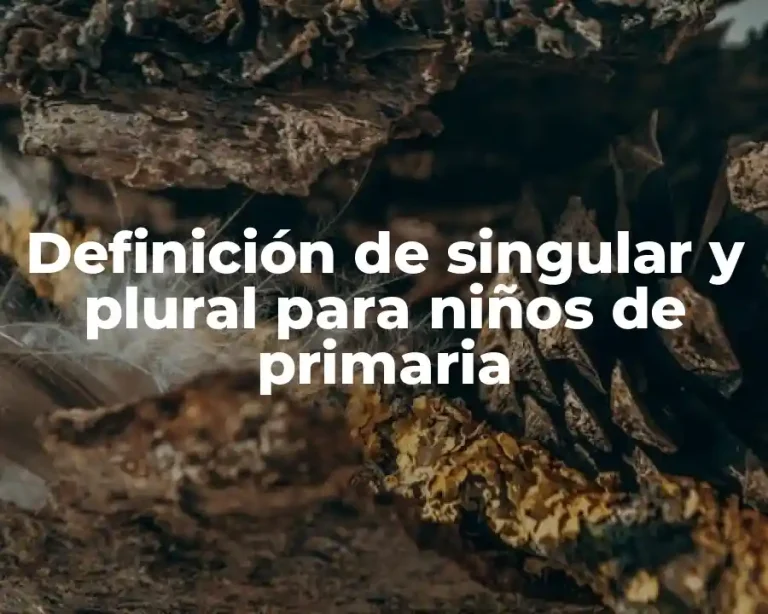 Definición de singular y plural para niños de primaria
