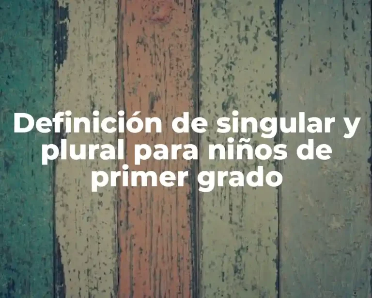 Definición de singular y plural para niños de primer grado
