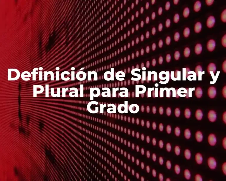 Definición de Singular y Plural para Primer Grado