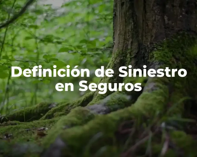Definición de Siniestro en Seguros