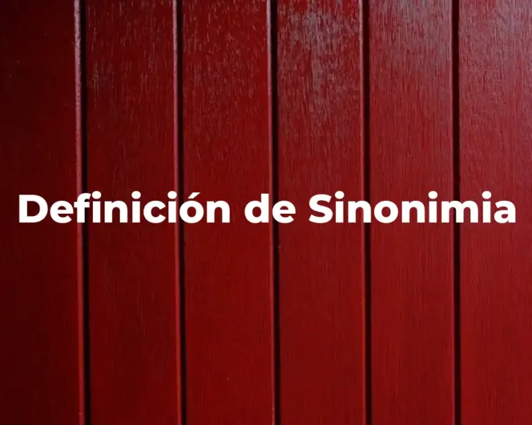 Definición de Sinonimia