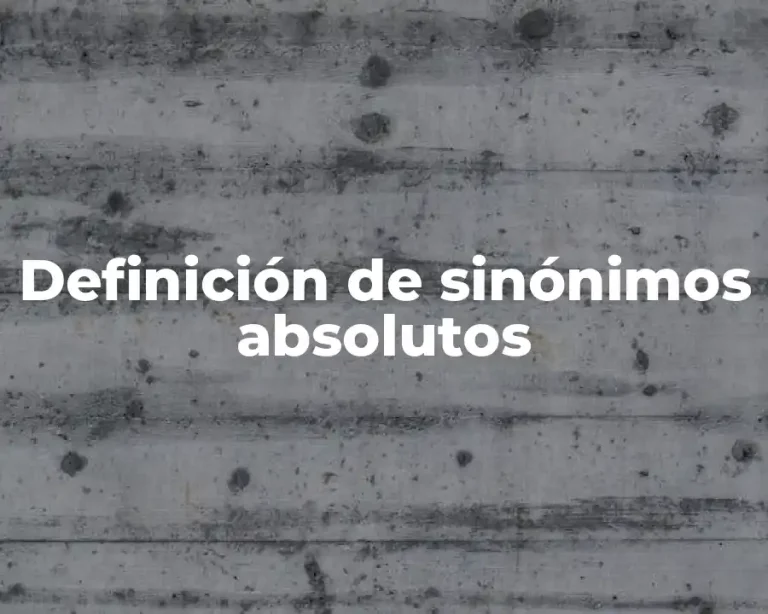 Definición de sinónimos absolutos