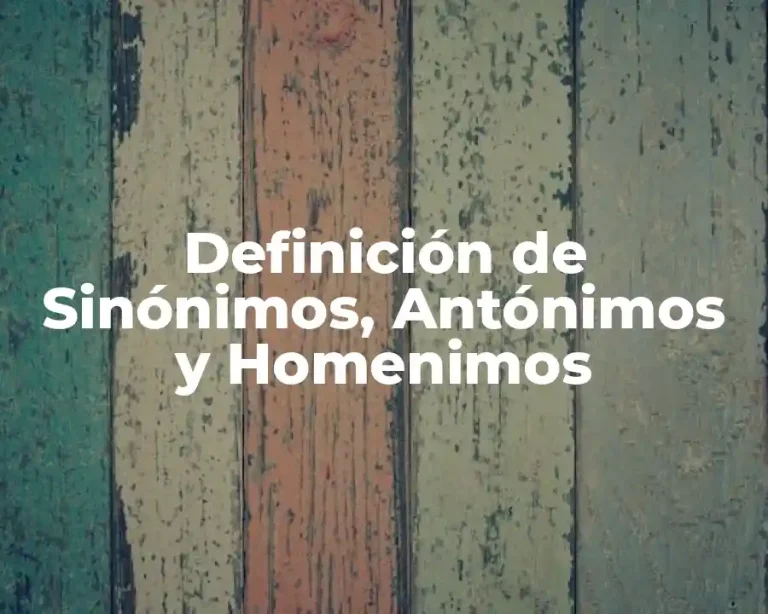 Definición de Sinónimos, Antónimos y Homenimos