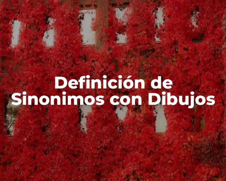 Definición de Sinonimos con Dibujos
