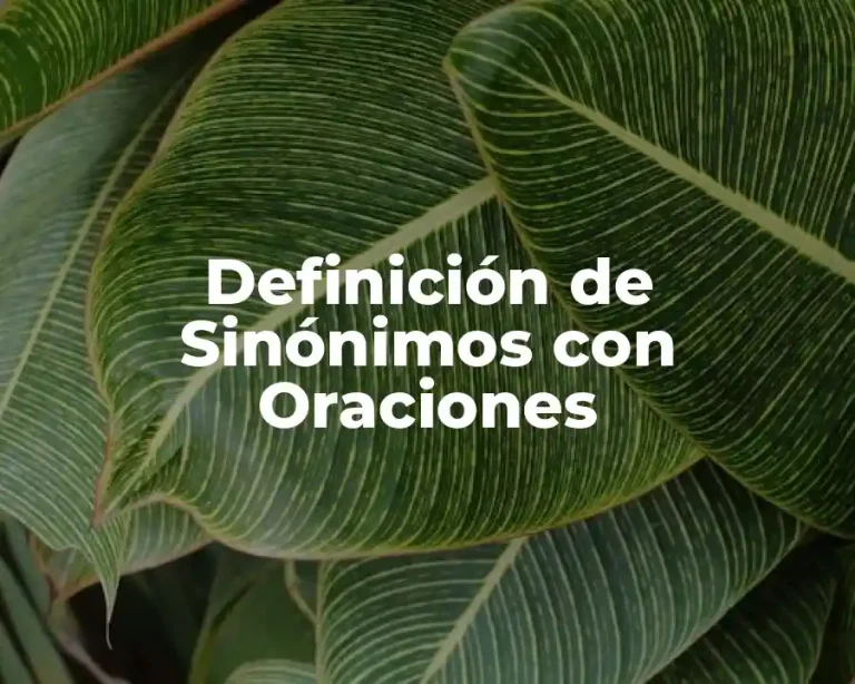 Definición de Sinónimos con Oraciones