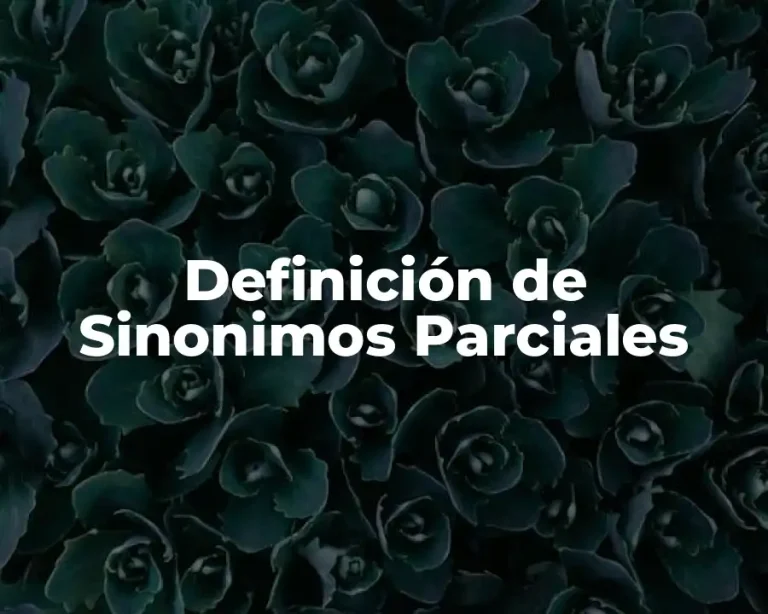 Definición de Sinonimos Parciales
