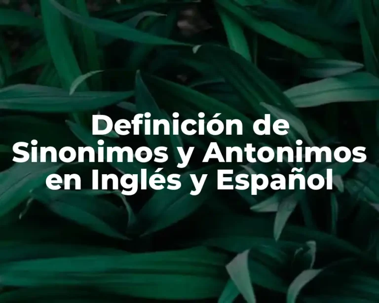 Definición de Sinonimos y Antonimos en Inglés y Español