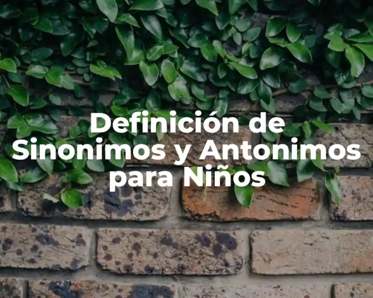 Definición de Sinonimos y Antonimos para Niños