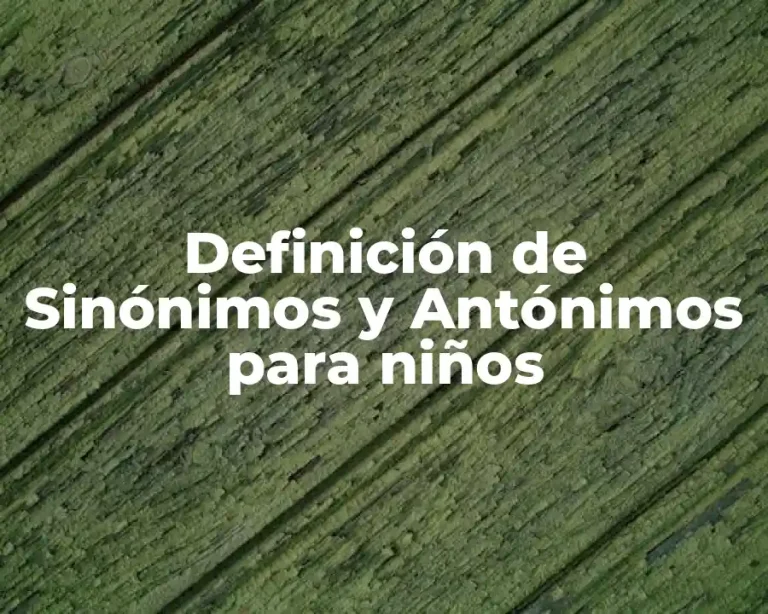 Definición de Sinónimos y Antónimos para niños