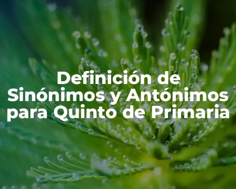 Definición de Sinónimos y Antónimos para Quinto de Primaria