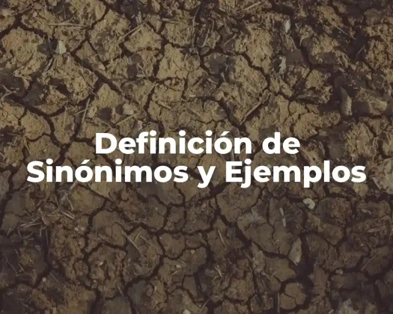 Definición de Sinónimos y Ejemplos