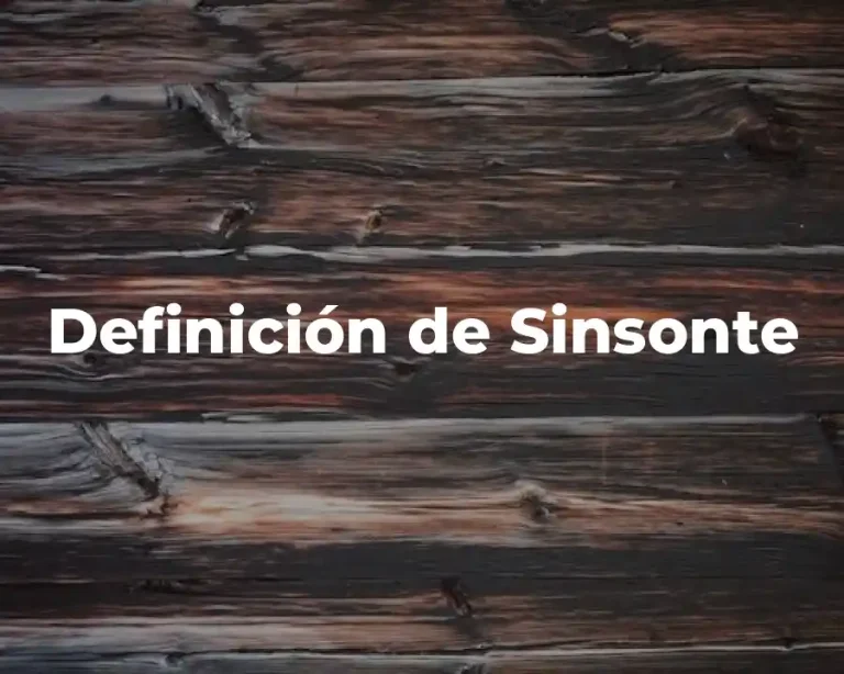 Definición de Sinsonte
