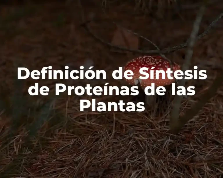 Definición de Síntesis de Proteínas de las Plantas