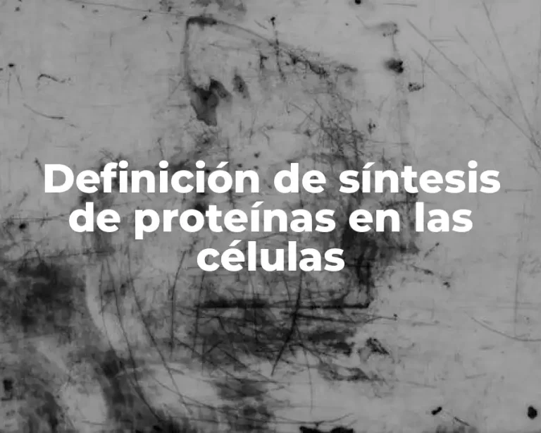 Definición de síntesis de proteínas en las células