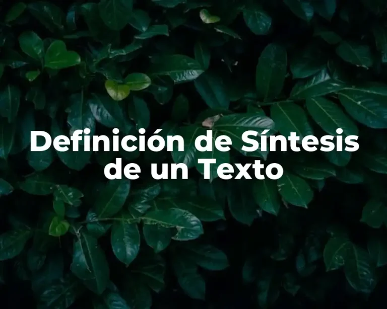 Definición de Síntesis de un Texto
