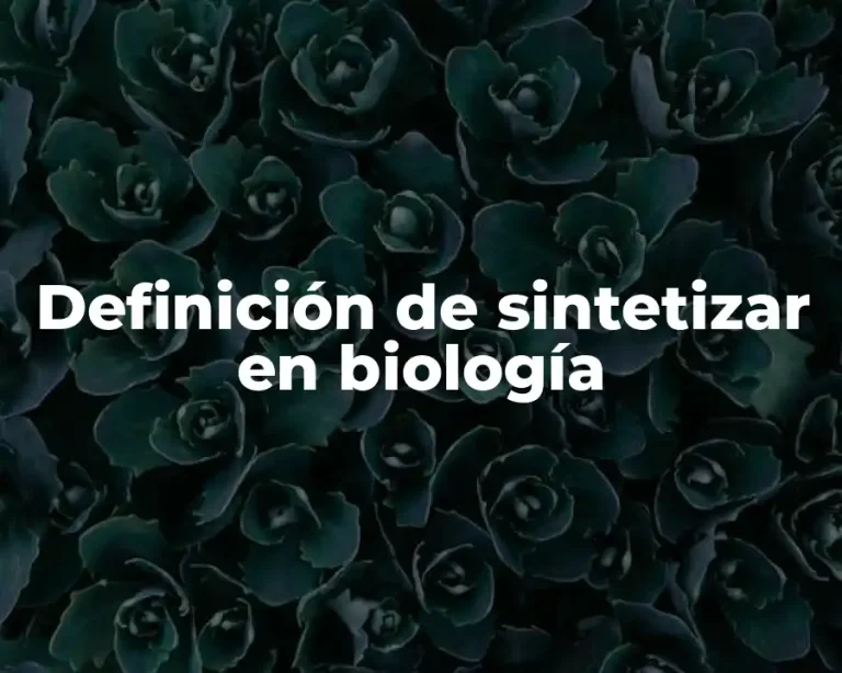 Definición de sintetizar en biología