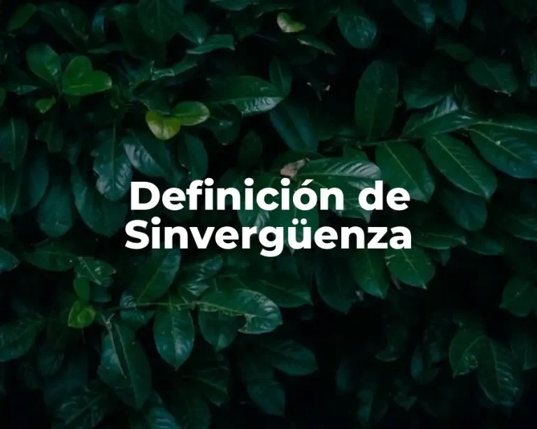 Definición de Sinvergüenza