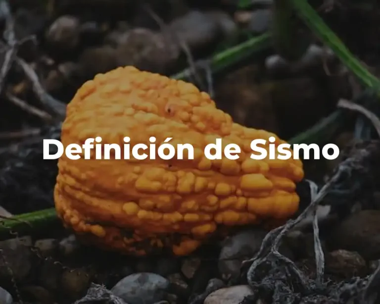 Definición de Sismo