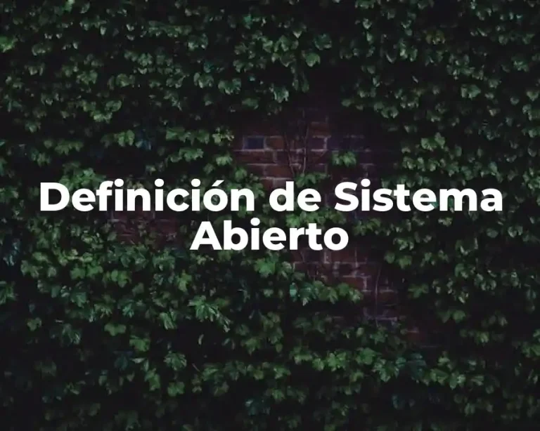 Definición de Sistema Abierto