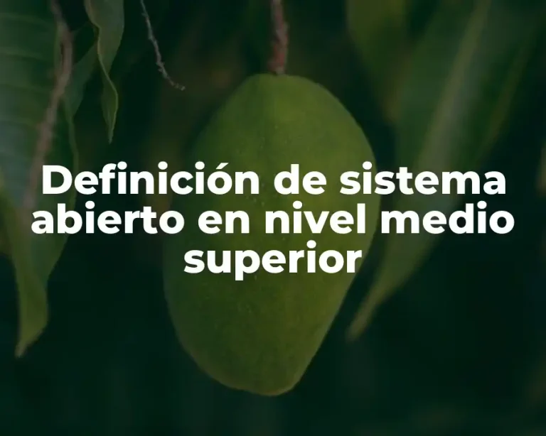 Definición de sistema abierto en nivel medio superior