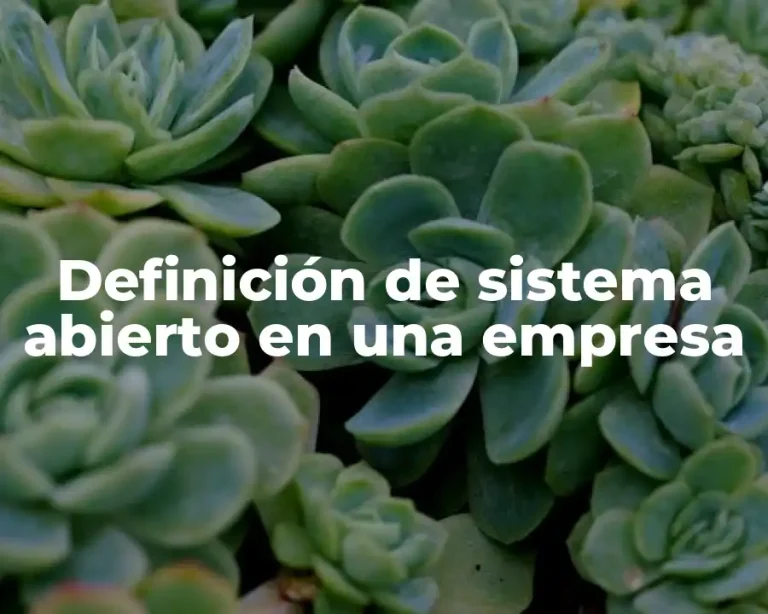 Definición de sistema abierto en una empresa